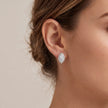 Marquise Halo Studs — 2